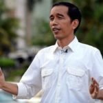 jokowi angkat jubir kepresidenan