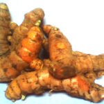 Kunyit Obat Herbal Bermanfaat