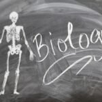 biologi
