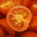 manfaat tomat