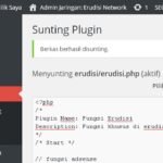 plugin khusus erudisi