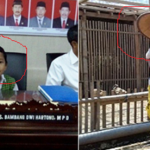 anak jenius