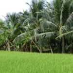 Sisi Lain Seorang Petani yang Menginspirasi
