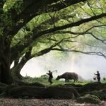 pohon besar pemujaan