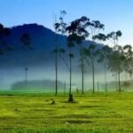 KAMPUNG CAI RANCA UPAS CIWIDEY