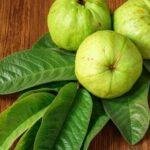 Makanan menaikkan trombosit darah