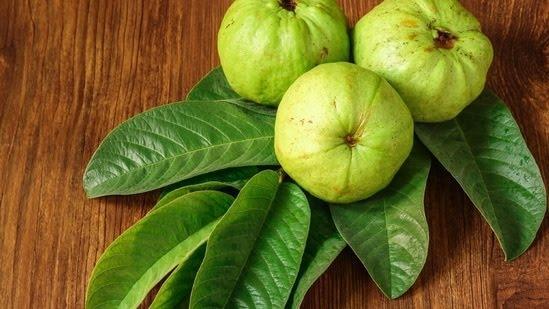 Makanan menaikkan trombosit darah
